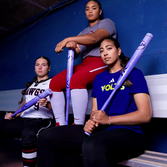 SHOP ALL FASTPITCH BATS HERE